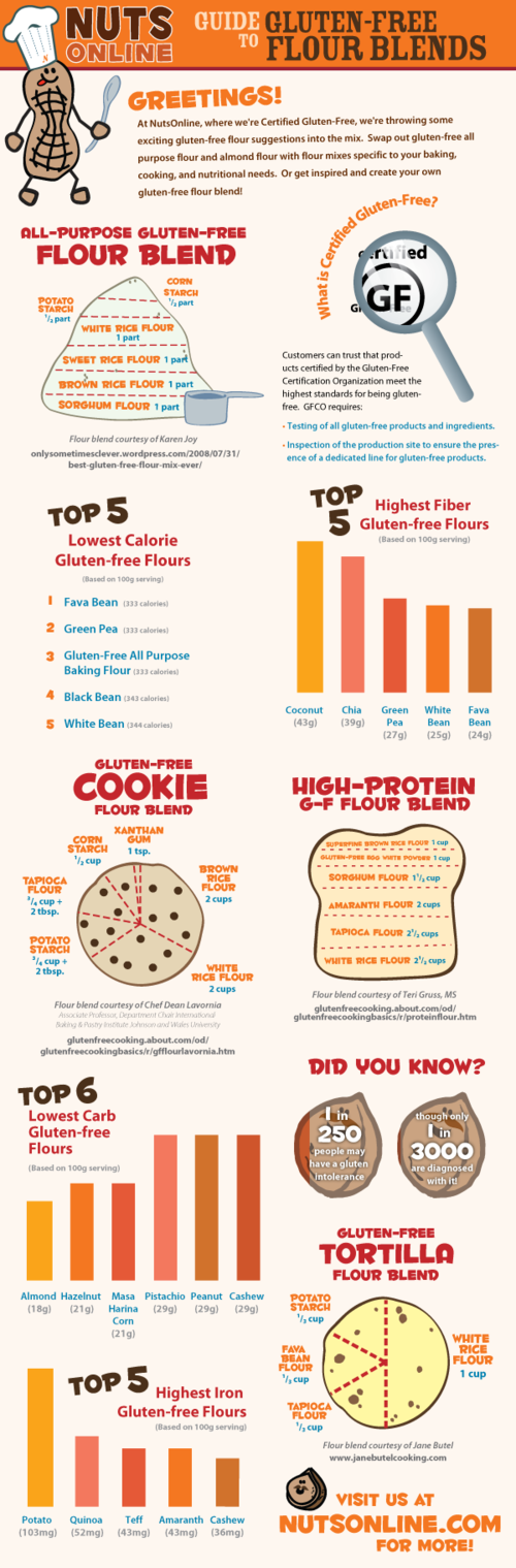 Picture of Guide to Gluten-Free Flour Blends (Infographic)